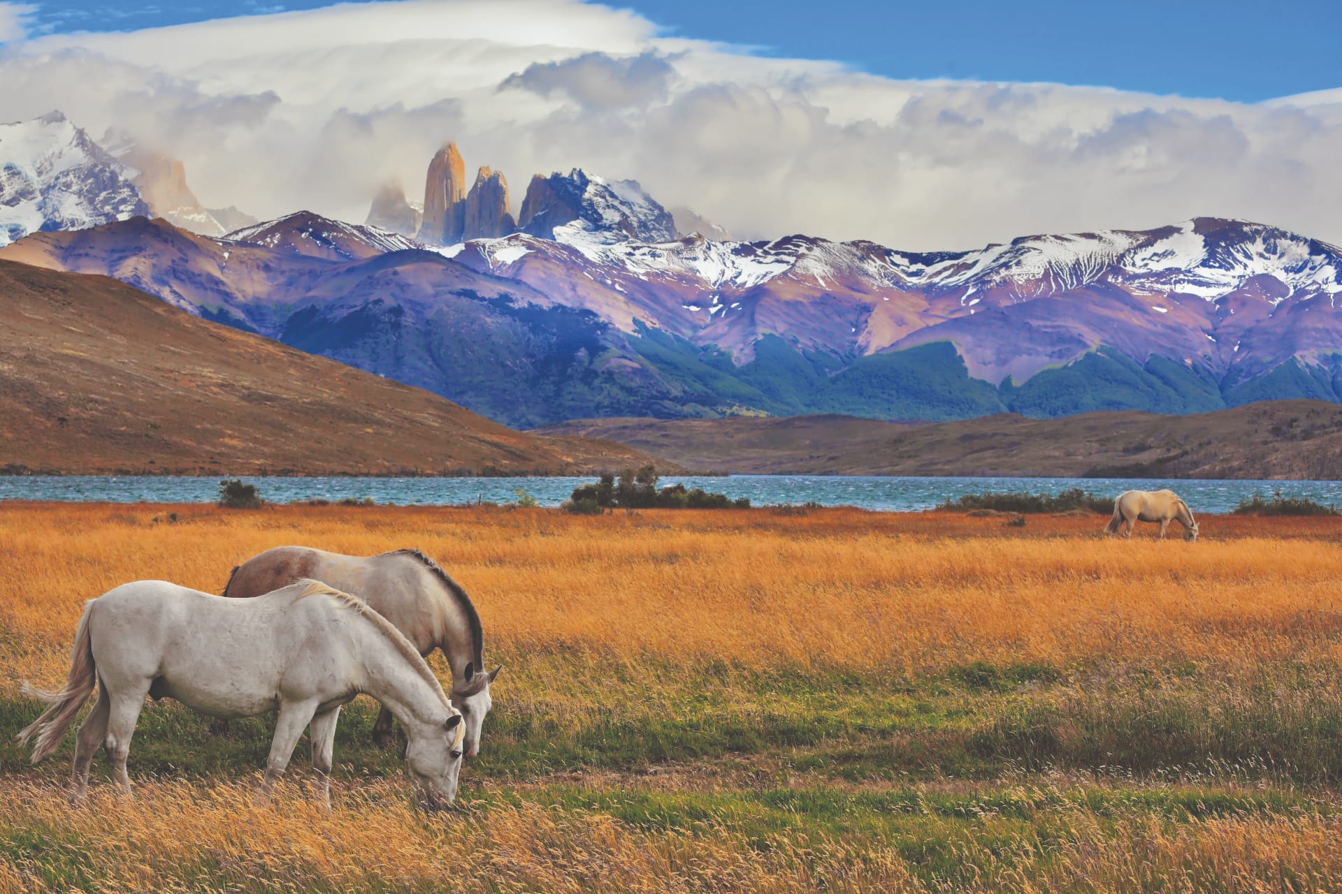 Chile & Argentinien – Patagonien