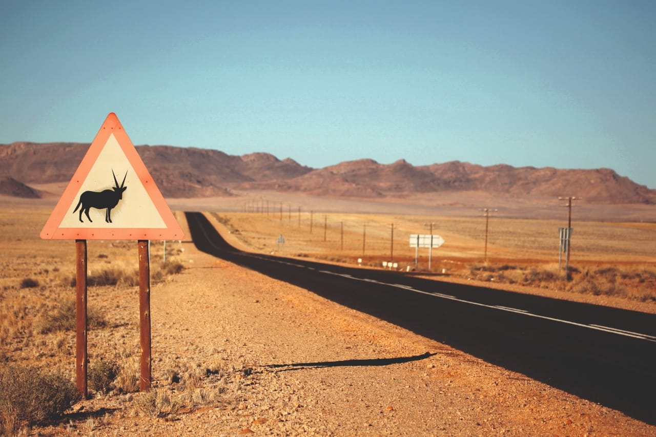 Namibia Oryx Sign