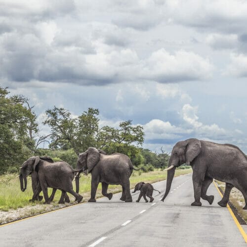 Namibia-Botswana-Simbabwehigh