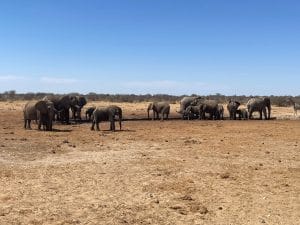Namibia Botswana Simbabwe Rundreise | Vögele Reisen