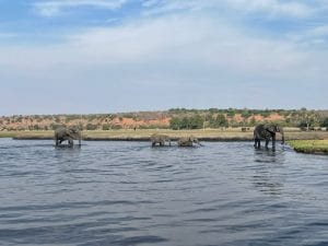 Namibia Botswana Simbabwe Rundreise | Vögele Reisen