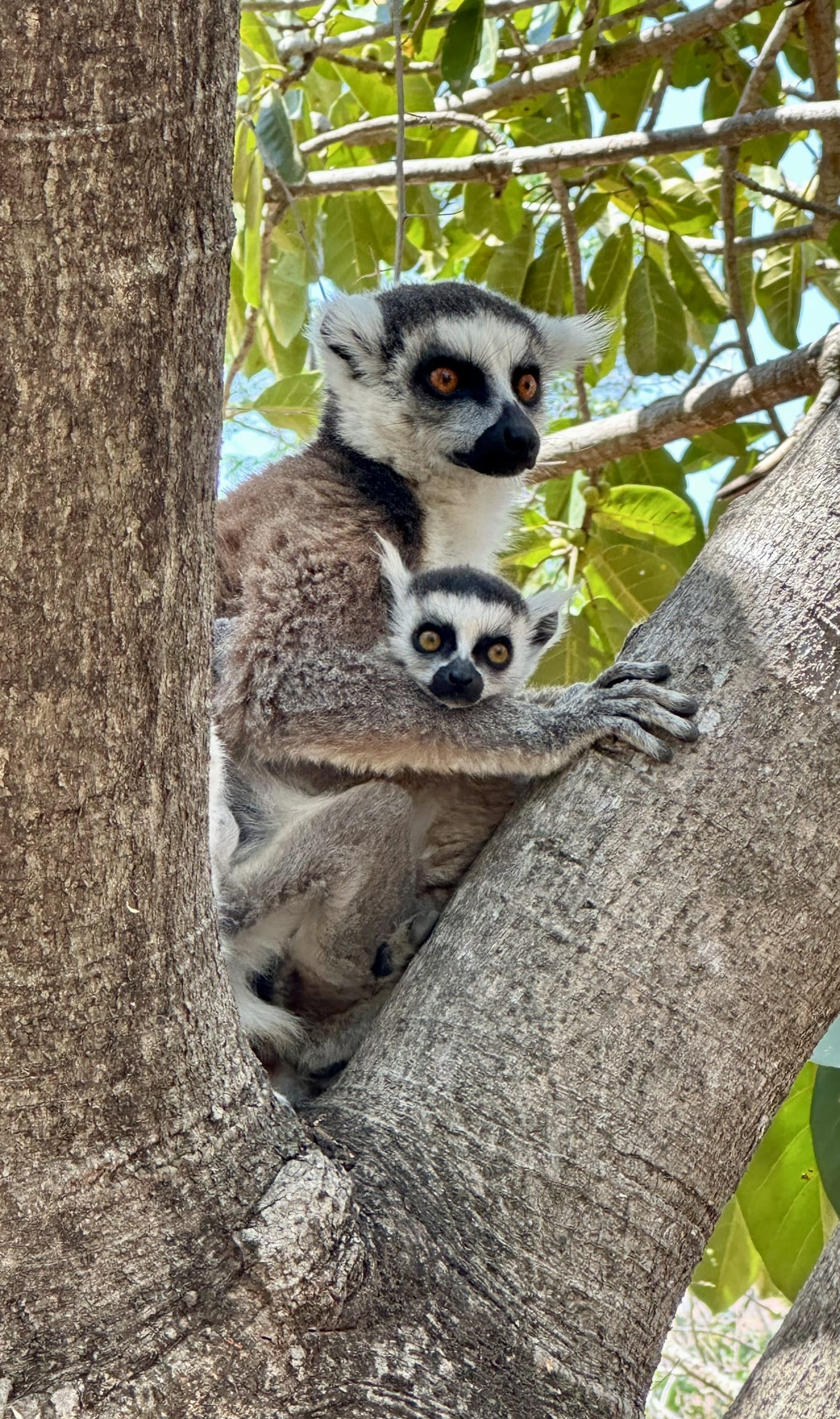 Madagaskar Süden 07.10.2025