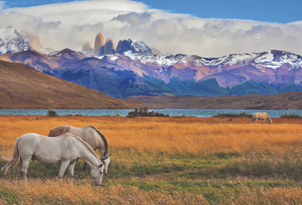 Argentinien