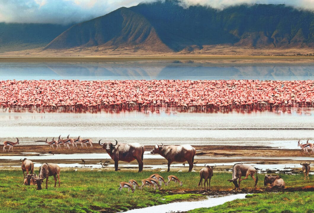 Ngorongoro Krater