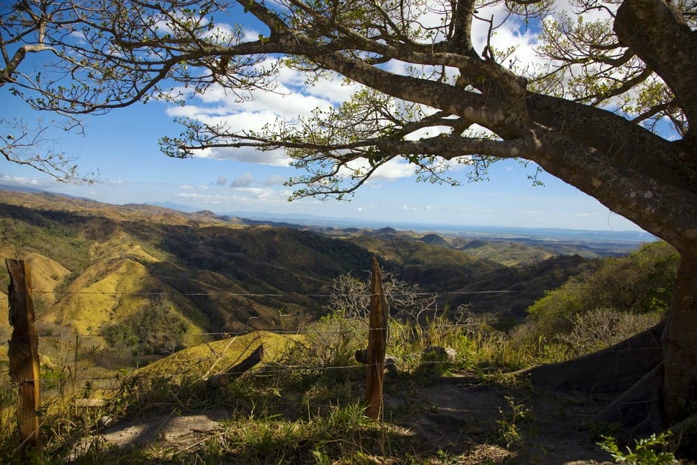 Monteverde