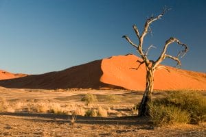 Sossusvlei Wüste Namibia