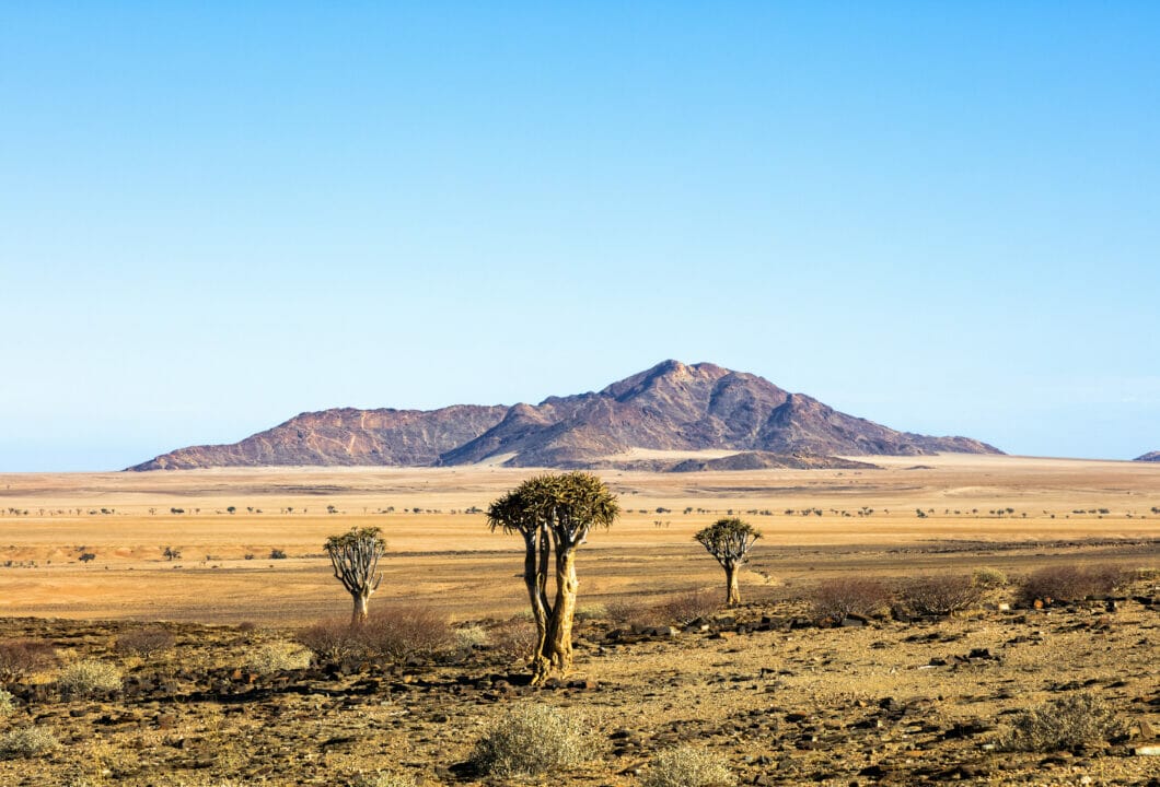 Kalahari Wüste - Juwel mit versteckten Reizen