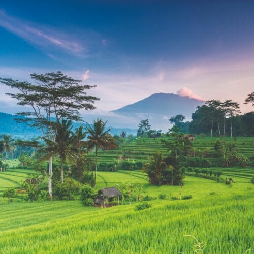 INDONESIEN