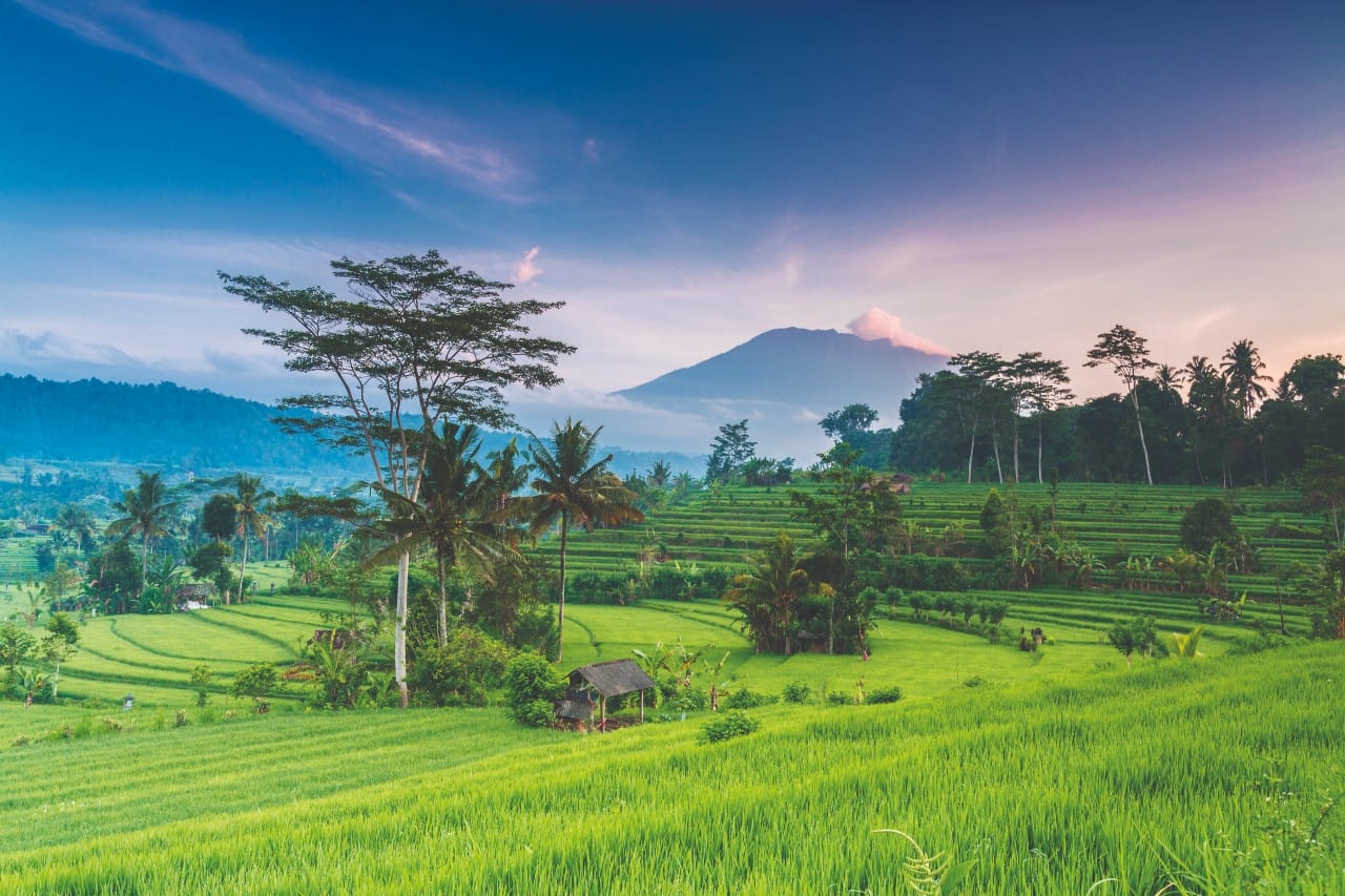 INDONESIEN