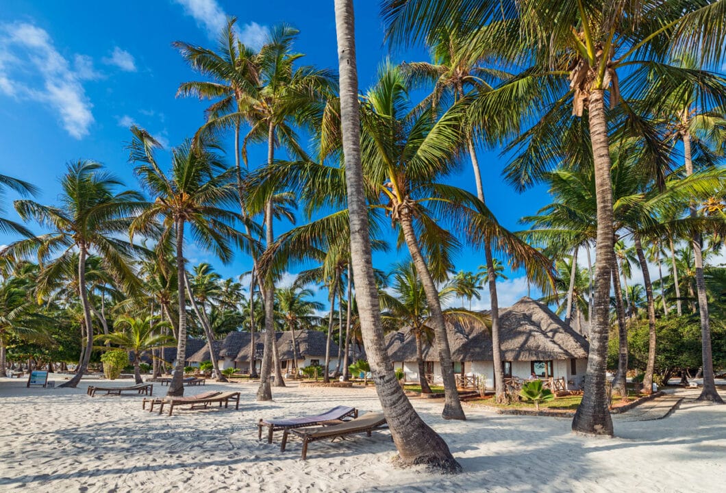 Tansania: Safari-Abenteuer und Gewürz-Insel