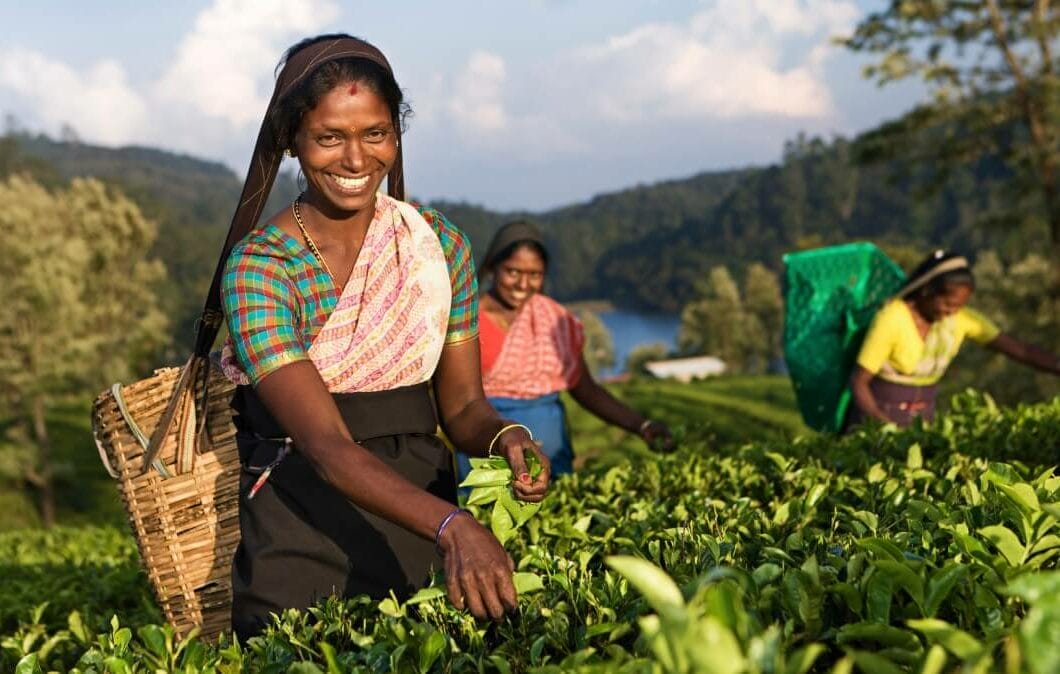 Umgang mit Menschen und Tieren