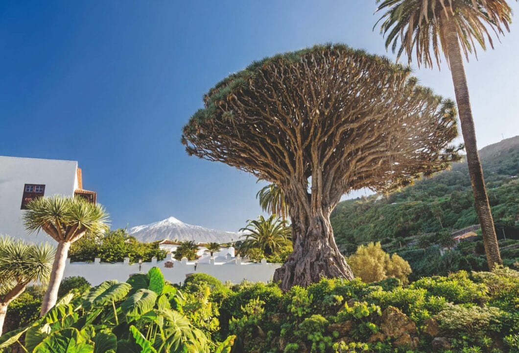 Teneriffa