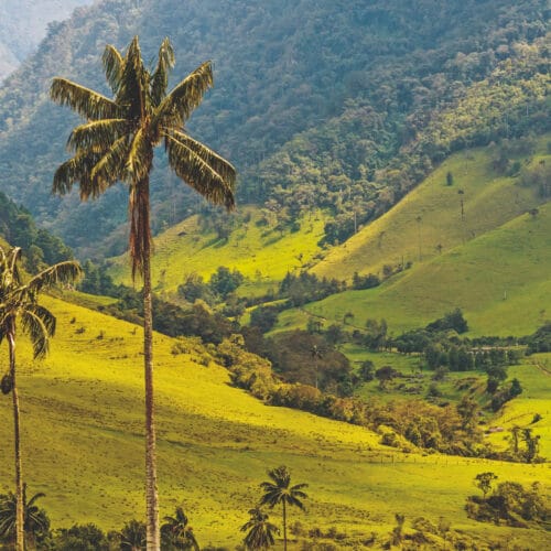 KOLUMBIEN