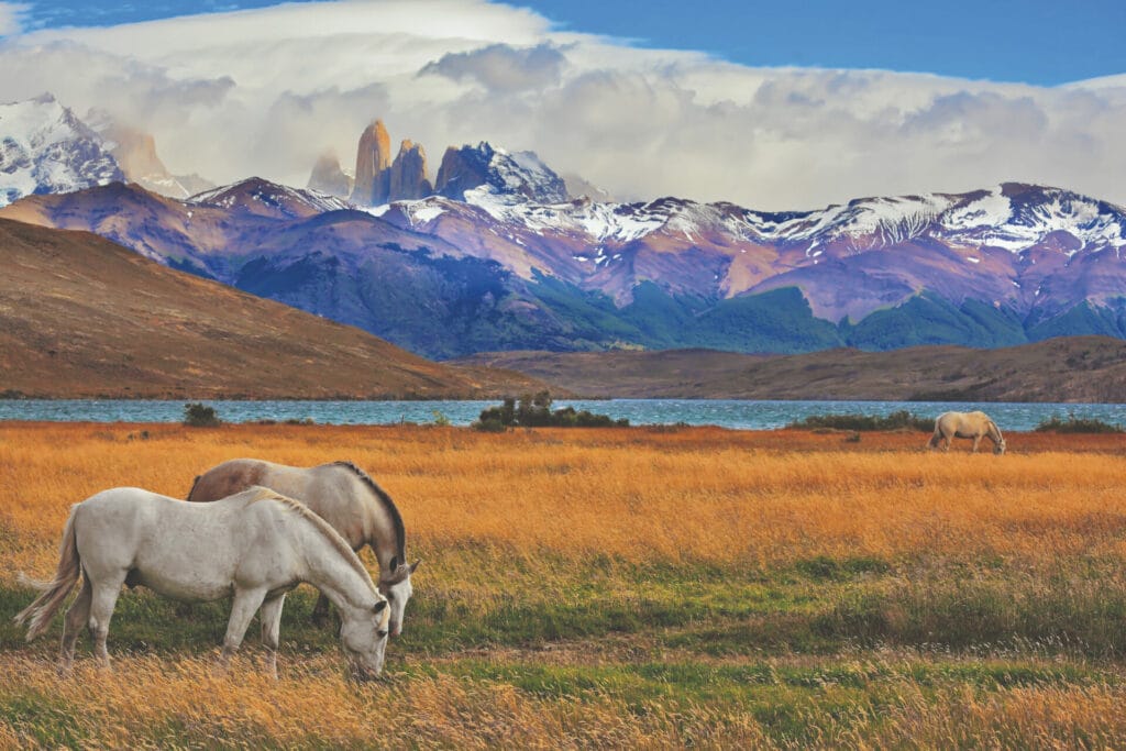 Nationalpark Torres del Peine