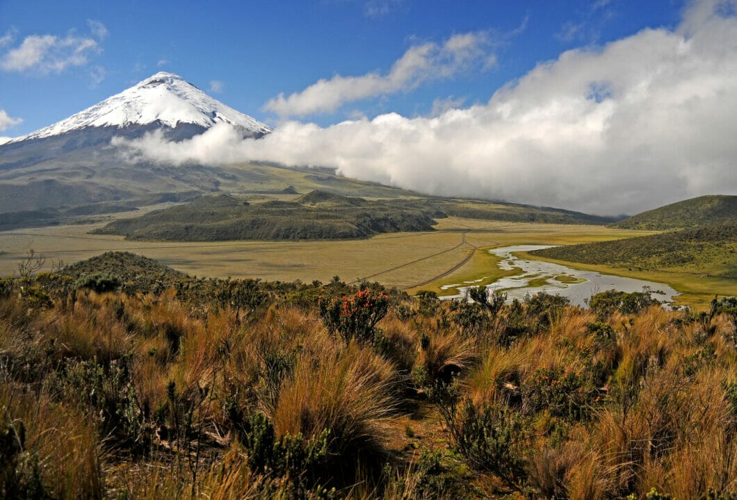 Nationalpark Cotopaxi