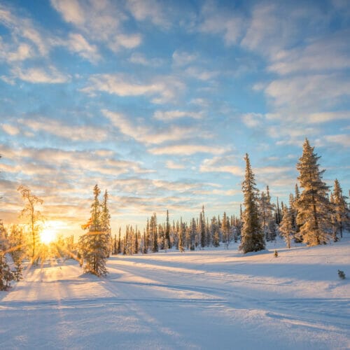 FINNLAND