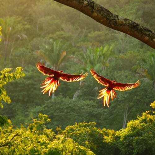 COSTA RICA 