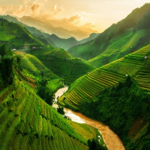 VIETNAM