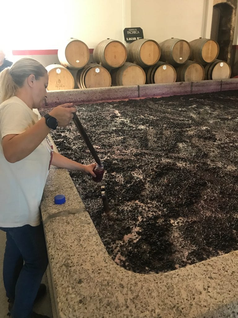 Duoro-Tal 2. Tag Quinta de Pacheca II