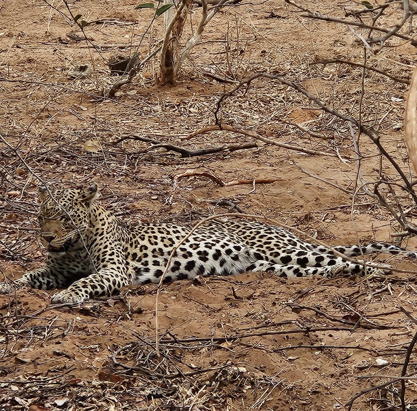 Namibia Botswana Simbabwe Rundreise | Vögele Reisen