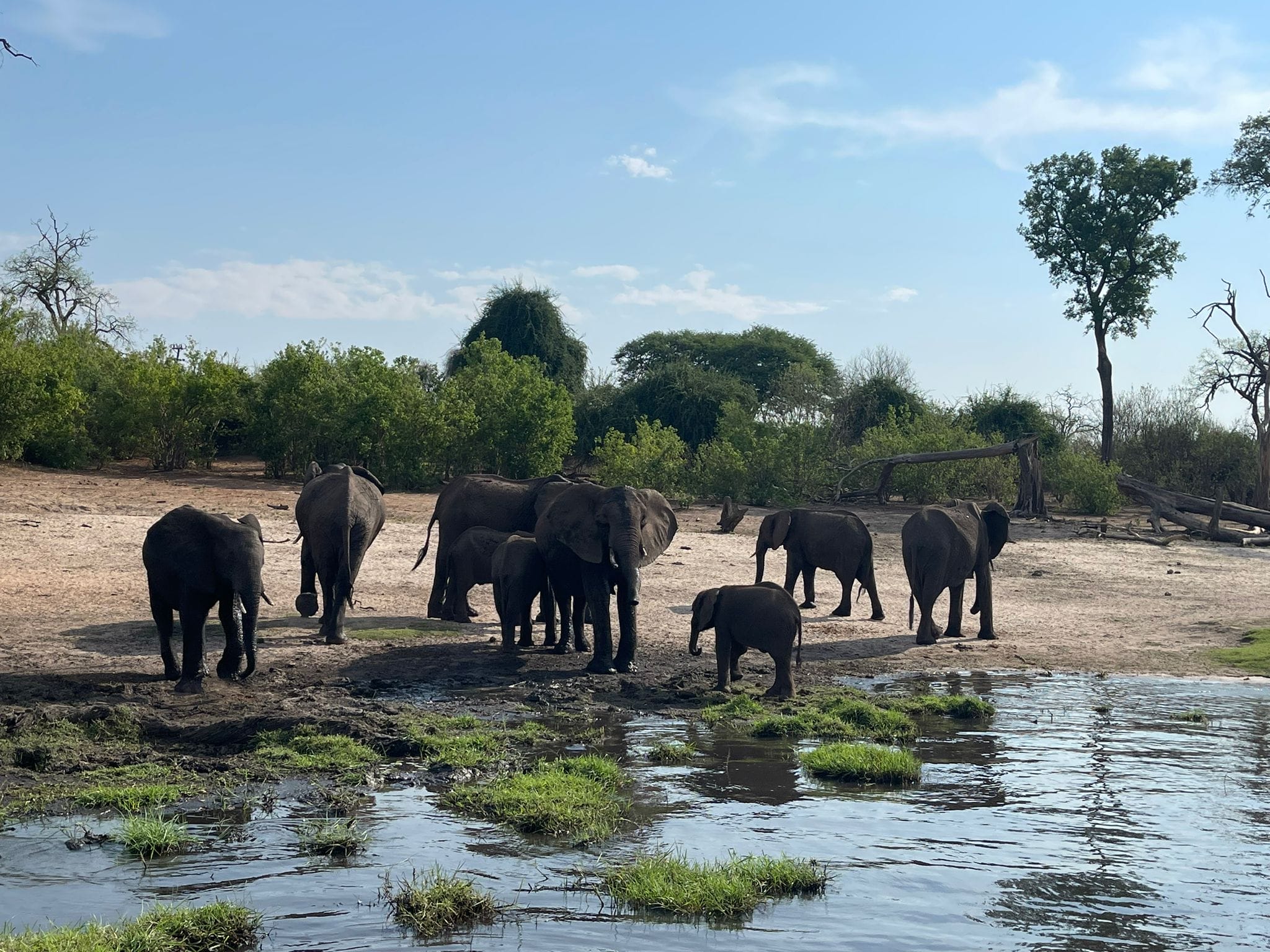 Namibia Botswana Simbabwe Rundreise | Vögele Reisen