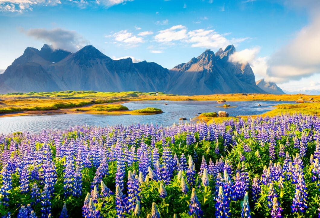 Island: Natur pur am Polarkreis
