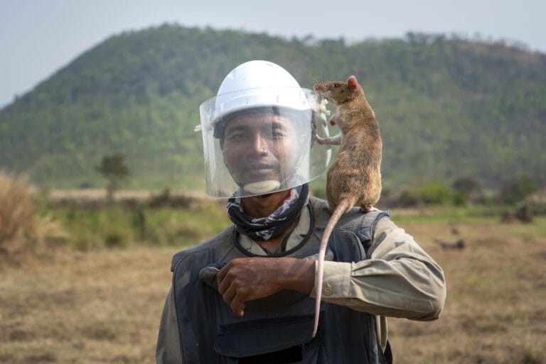Laos & Kambodscha