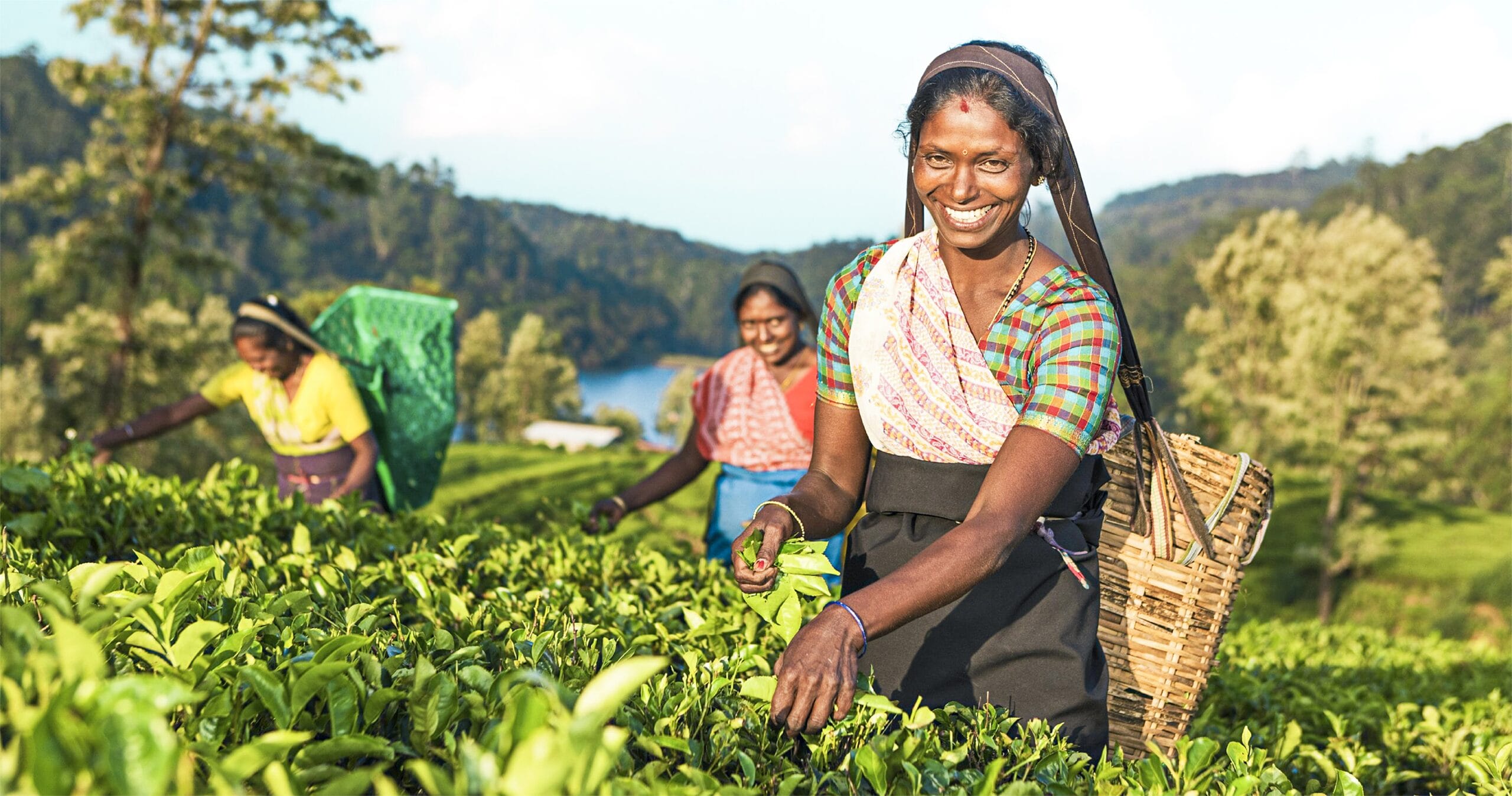 Sri Lanka 2026