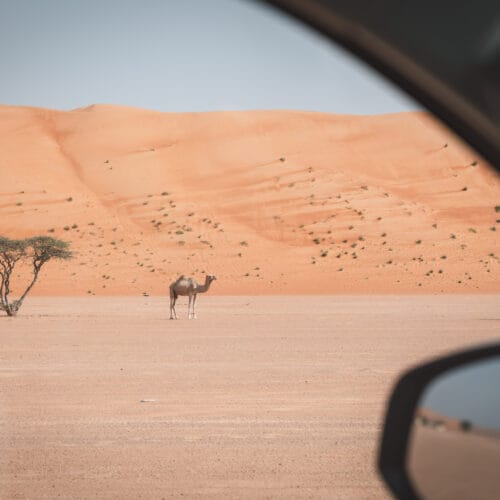 Mietwagenreise im Land der Kontraste