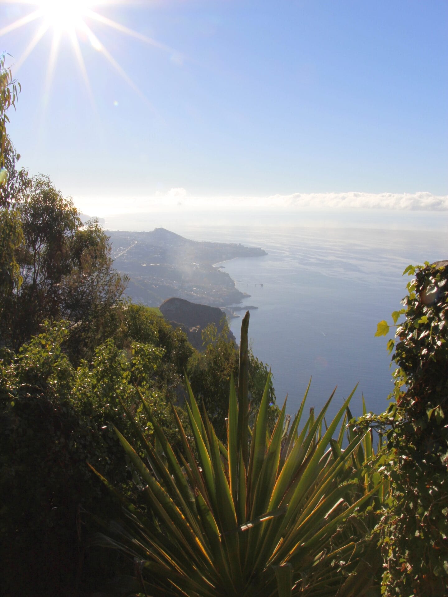 Blick über die üppig bewachsene Meeresküste bei Sonnenschein und blauem Himmel.