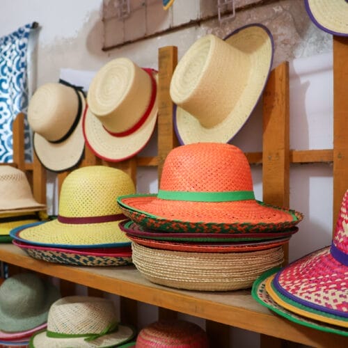 Auf den Spuren des Panama Huts