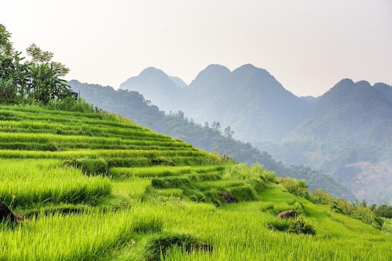 NZZ Leserreise Vietnam