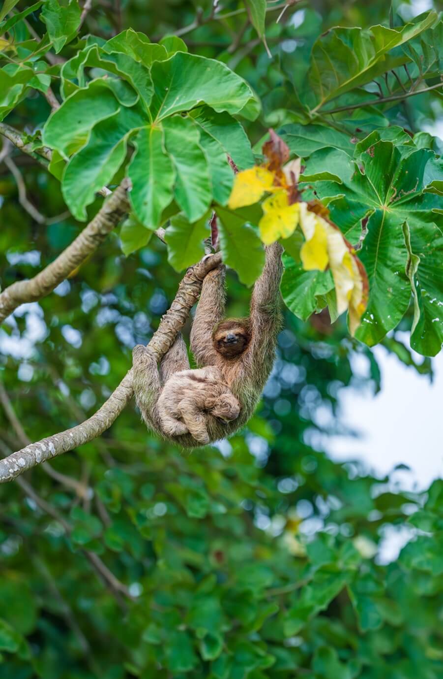 Costa Rica