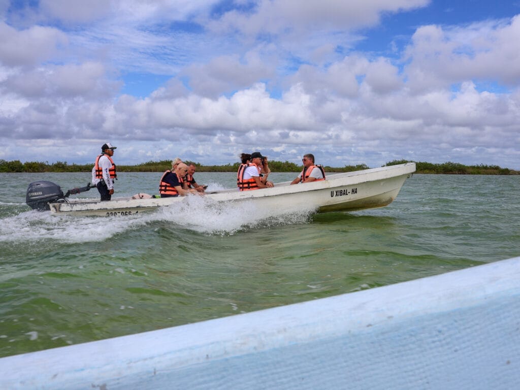 Gäste auf einer rasanten Bootsfahrt über eine weitläufige Lagune in Mexiko, ausgestattet mit Schwimmwesten, vor einem Horizont aus grüner Vegetation und Wolkenhimmel