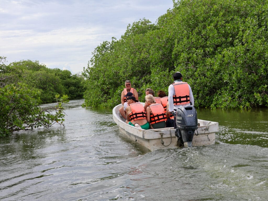 Gäste mit orangen Schwimmwesten auf einer geführten Bootsfahrt durch dichte Mangrovenwälder in Mexiko