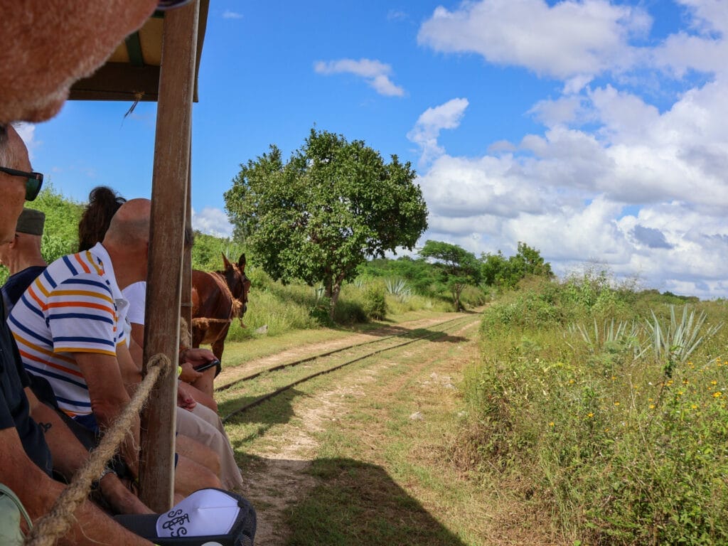 Gäste auf einer Fahrt mit einem traditionellen, von einem Maultier gezogenen Schienenwagen durch die grüne Landschaft einer mexikanischen Hacienda.