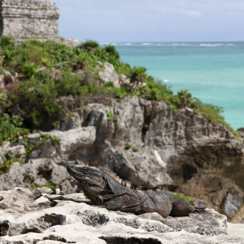 Begegnungen, die verbinden im Land der Mayas