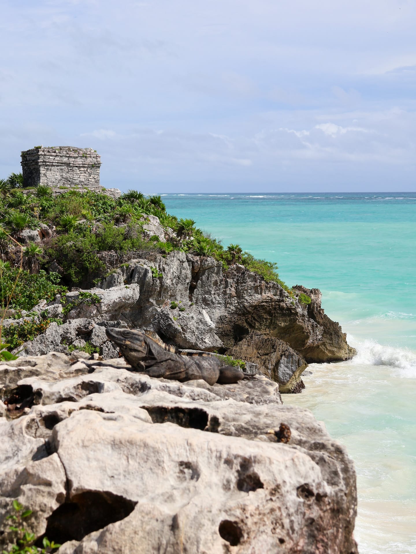 Malerische Küstenszenerie in Tulum, Mexiko, mit einer Maya-Ruine auf der Klippe, türkisblauem Meer und einem Leguan auf einem Felsen im Vordergrund.