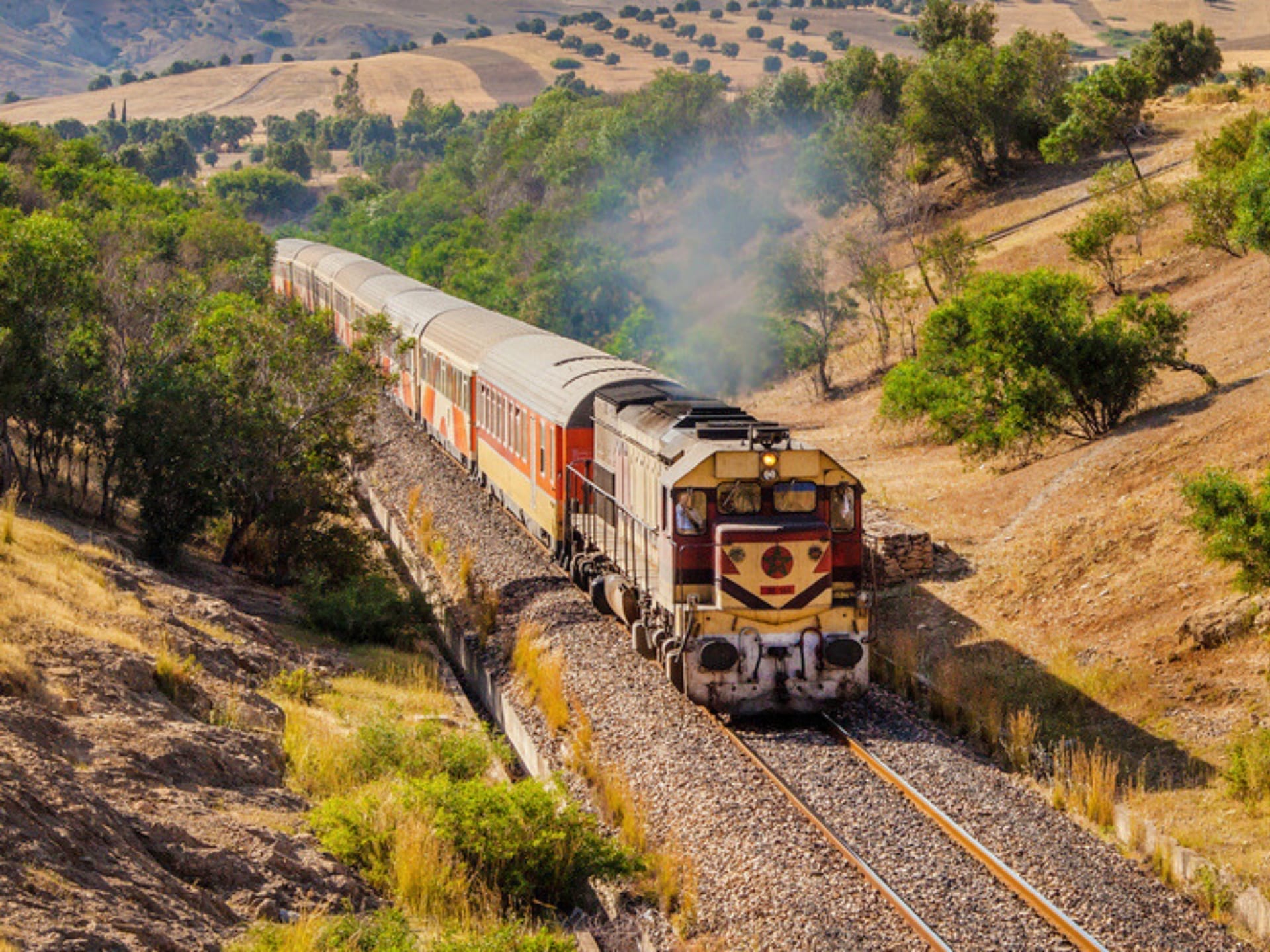 Historischer Zug, der durch eine braune Landschaft mit grünen Bäumen fährt